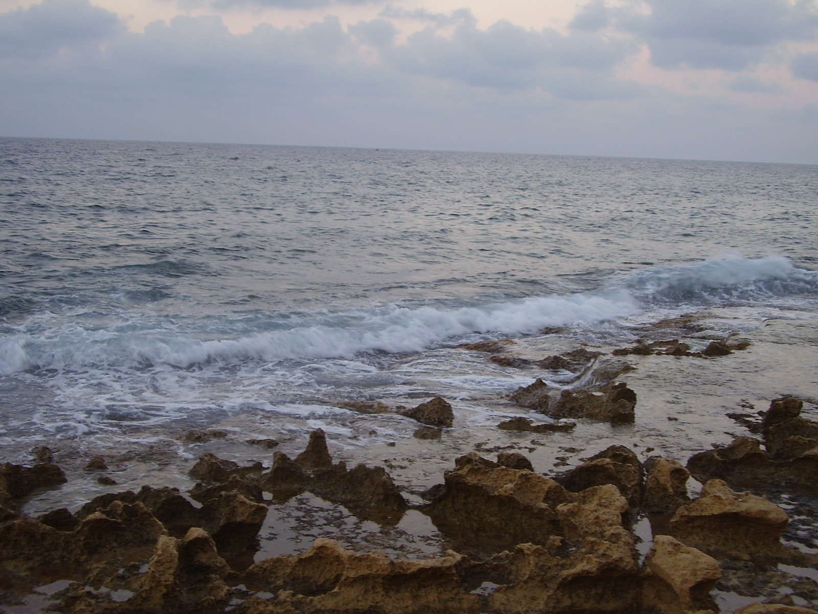 P7110016_1.JPG