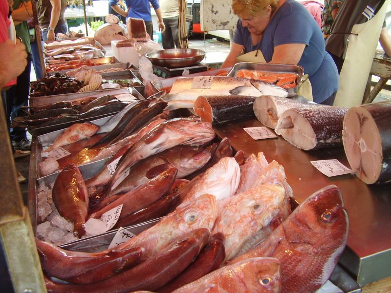 P8200078_2.jpg