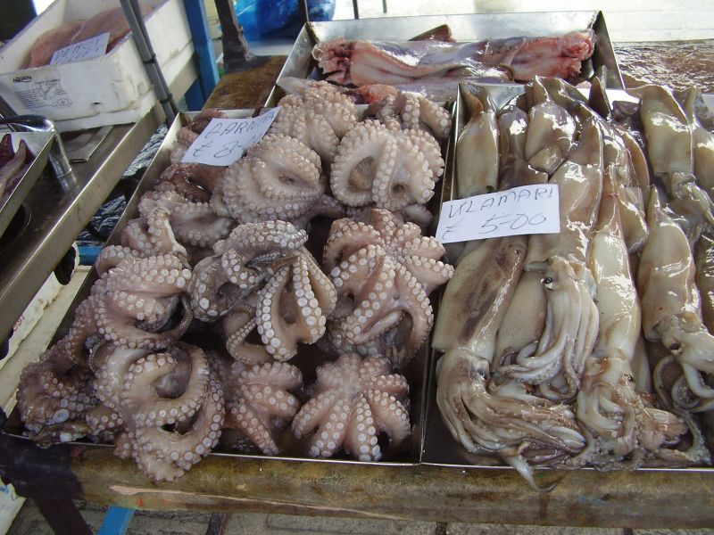 P8200079_2.jpg