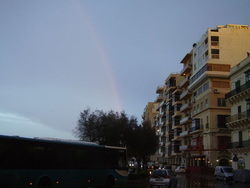 P8210105_2.jpg