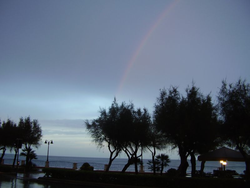 P8210109_2.jpg