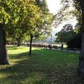 Stadtpark, ősz, napsütés...