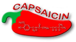 capsaicin.png