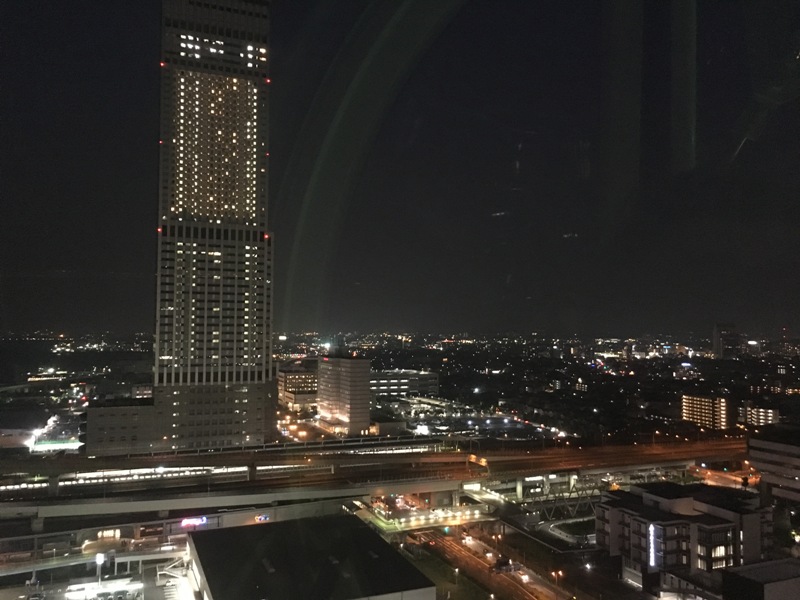 Osaka by night from the ferris wheel