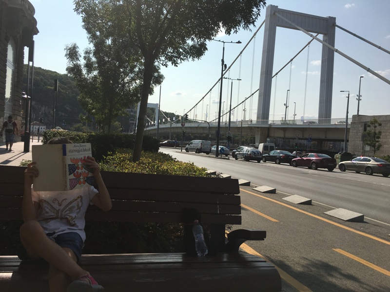 Budapesten több helyen találtunk a padokon könyveket, hogy ne a telefont nyomkodják az emberek. <br />We came across books on banches all over Budapest city center to encourage reading instead of smart phones. Love it!