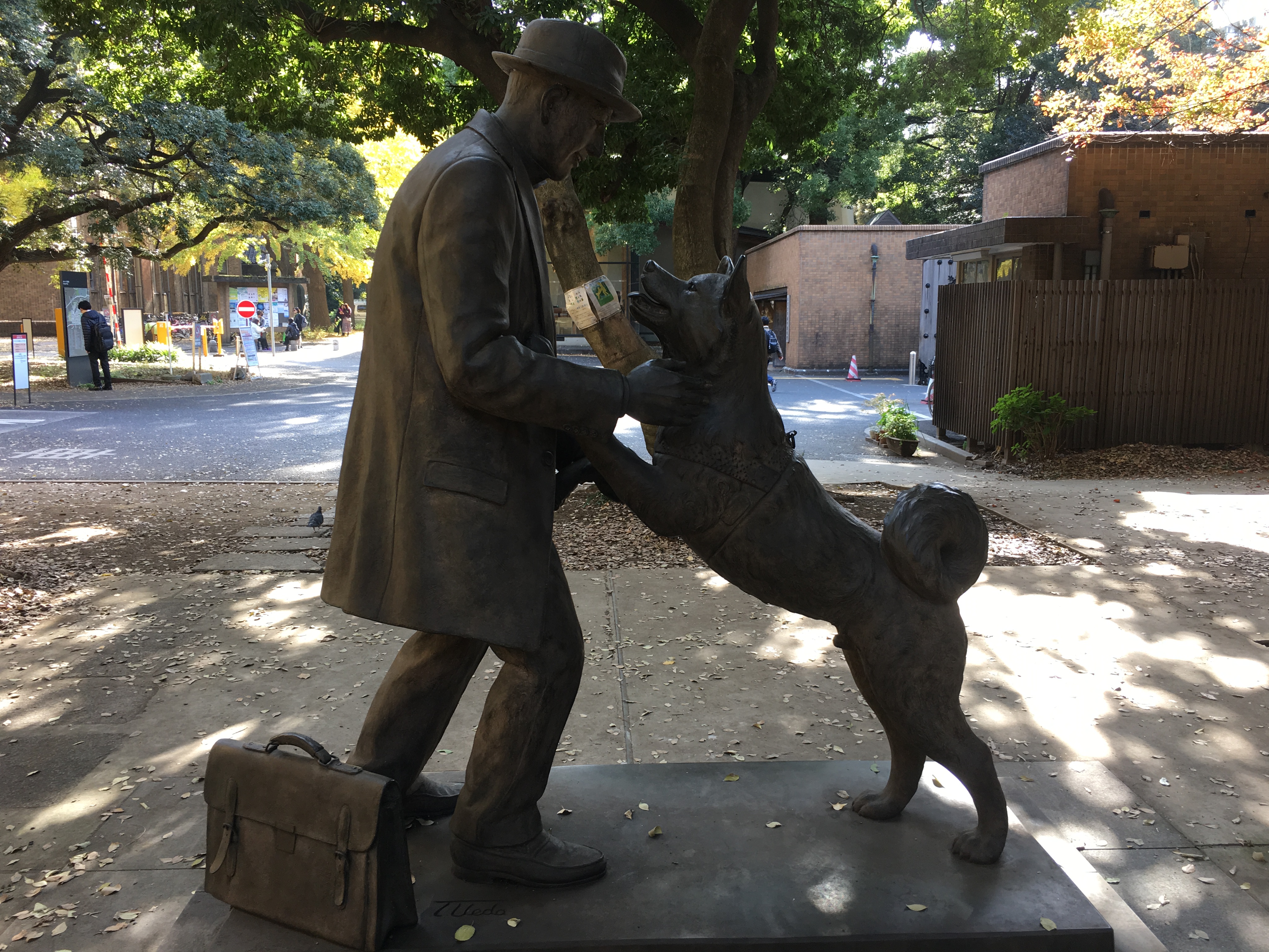 Hachiko gazdája a Tokió Egyetem tanára volt. Minden nap kiment a Shibuya állomásra üdvözölni hazatértekor. A professzor másfél évvel később szívrohamot kapott az egyetemen és nem jött haza. Hachiko még kilenc évig kijárt elé a Shibuya állomásra és várta, amíg meg nem halt. <br />This is where the owner of Hachiko used to teach. Hachiko used to come and greet him at the station every day as he commuted to work. One day he passed away in heart attack at the campus and didn‘t return. Hachiko kept coming to the station and waiting for him for the next 9 years until her death. 