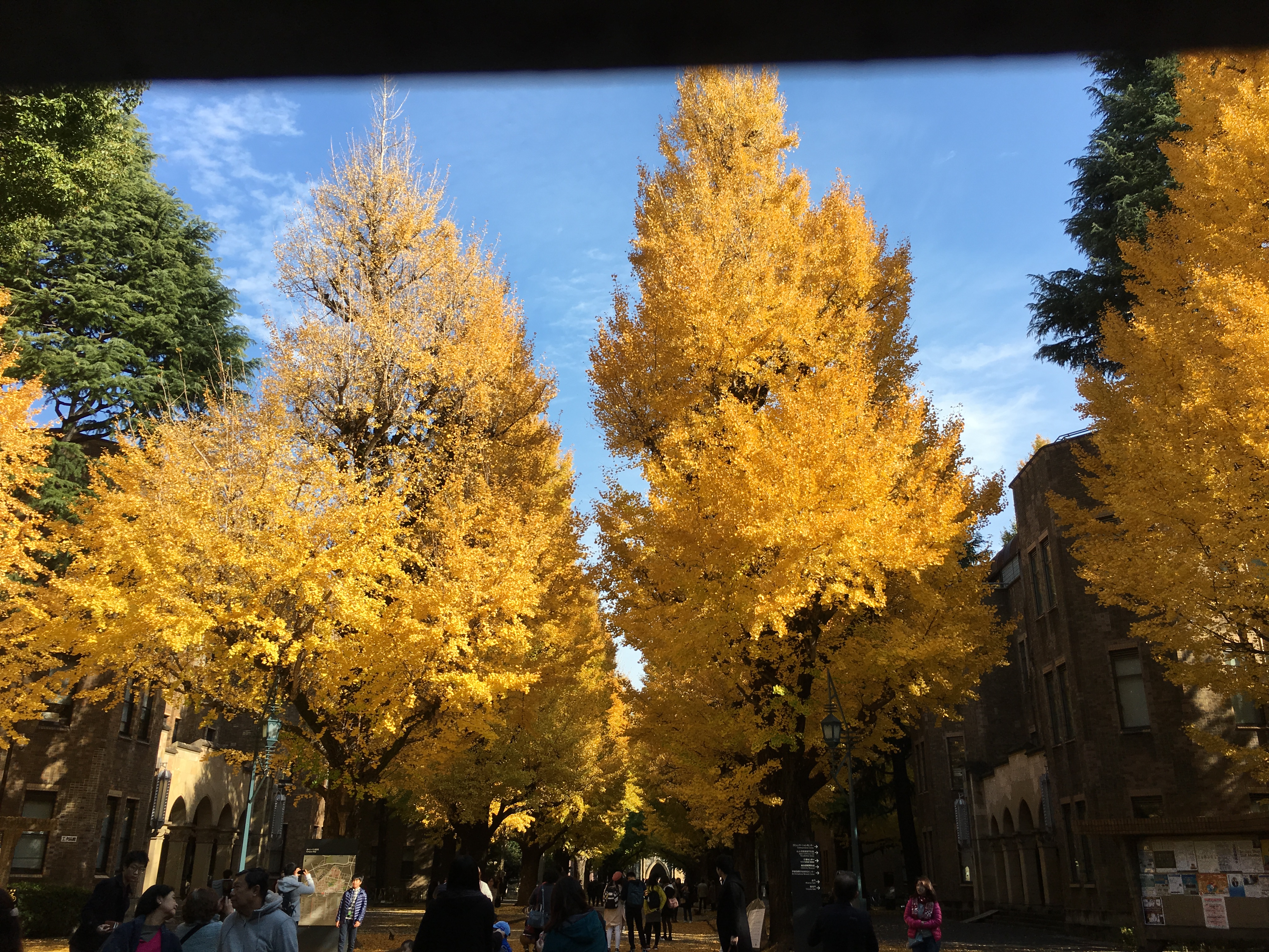 Tokyo University