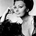 Sophia Loren 90