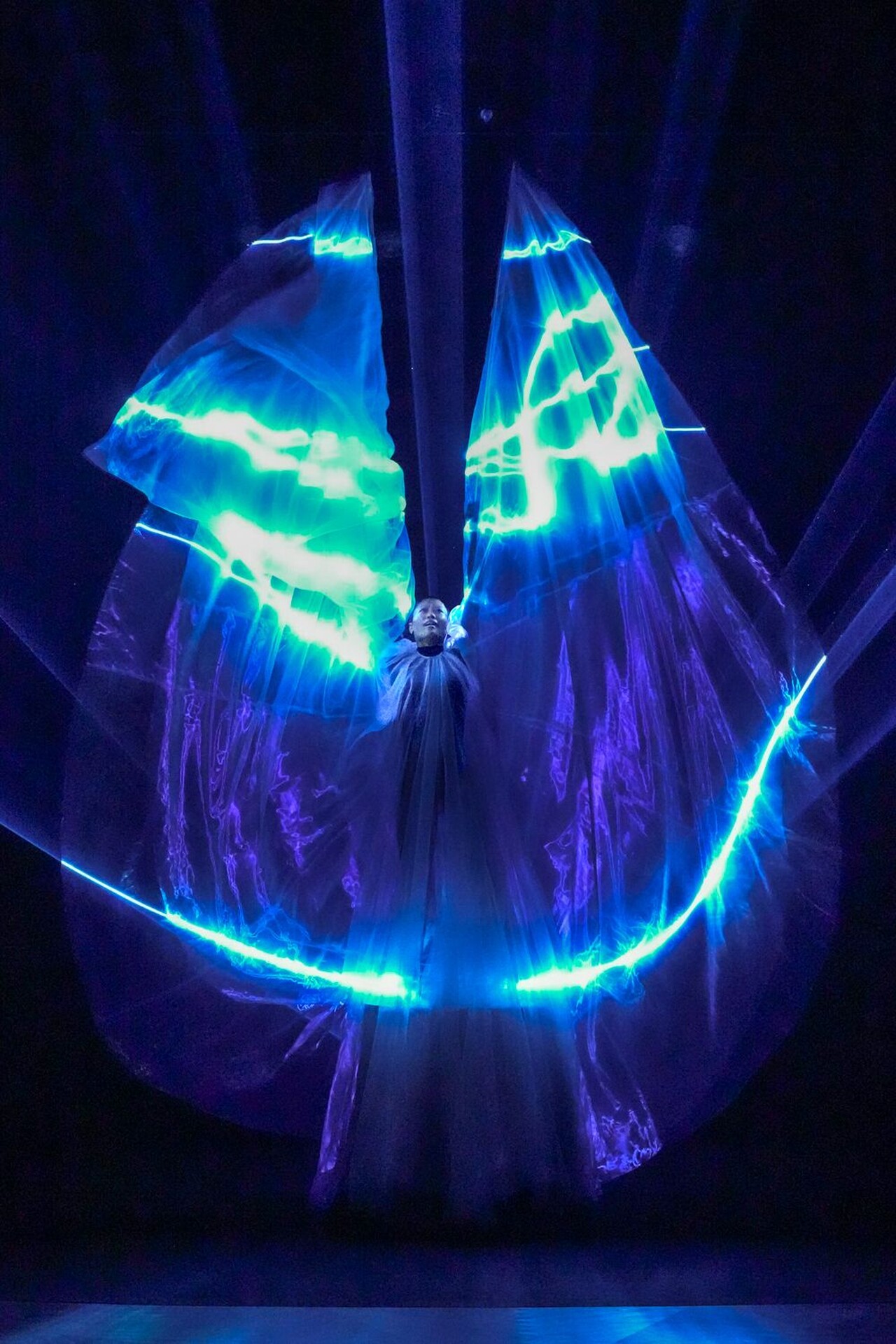1_iris_van_herpen.jpg