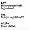 Szív, Agy, Alkohol...