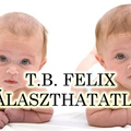 T. B. Felix: Elválaszthatatlanul