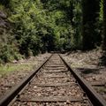 #railroad in #nature #park