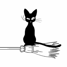 black-cat-cat.gif