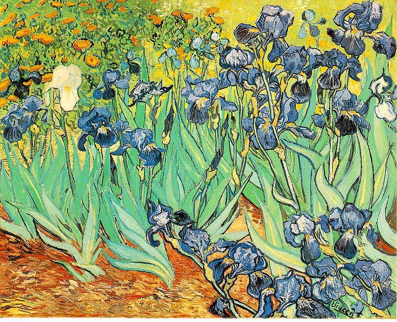 11800px-vangogh-irises_1.jpg