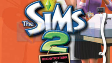 Sims cikkíró pályázat
