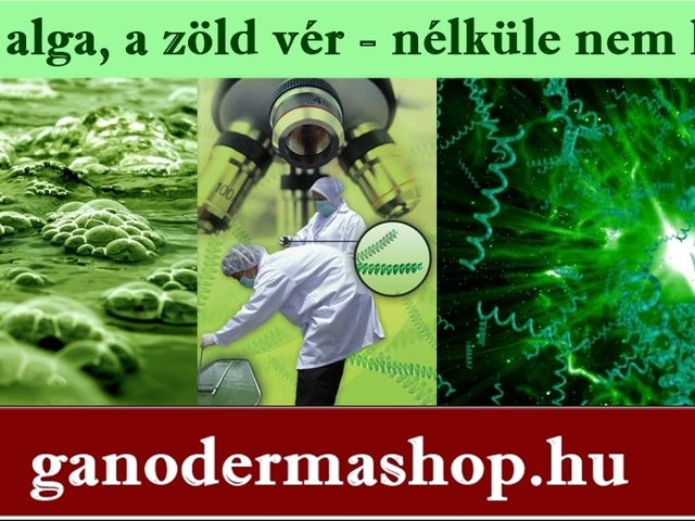 MI AZ A SPIRULINA?  A SPIRULINA ALGA 10 LEGFONTOSABB HATÁSA