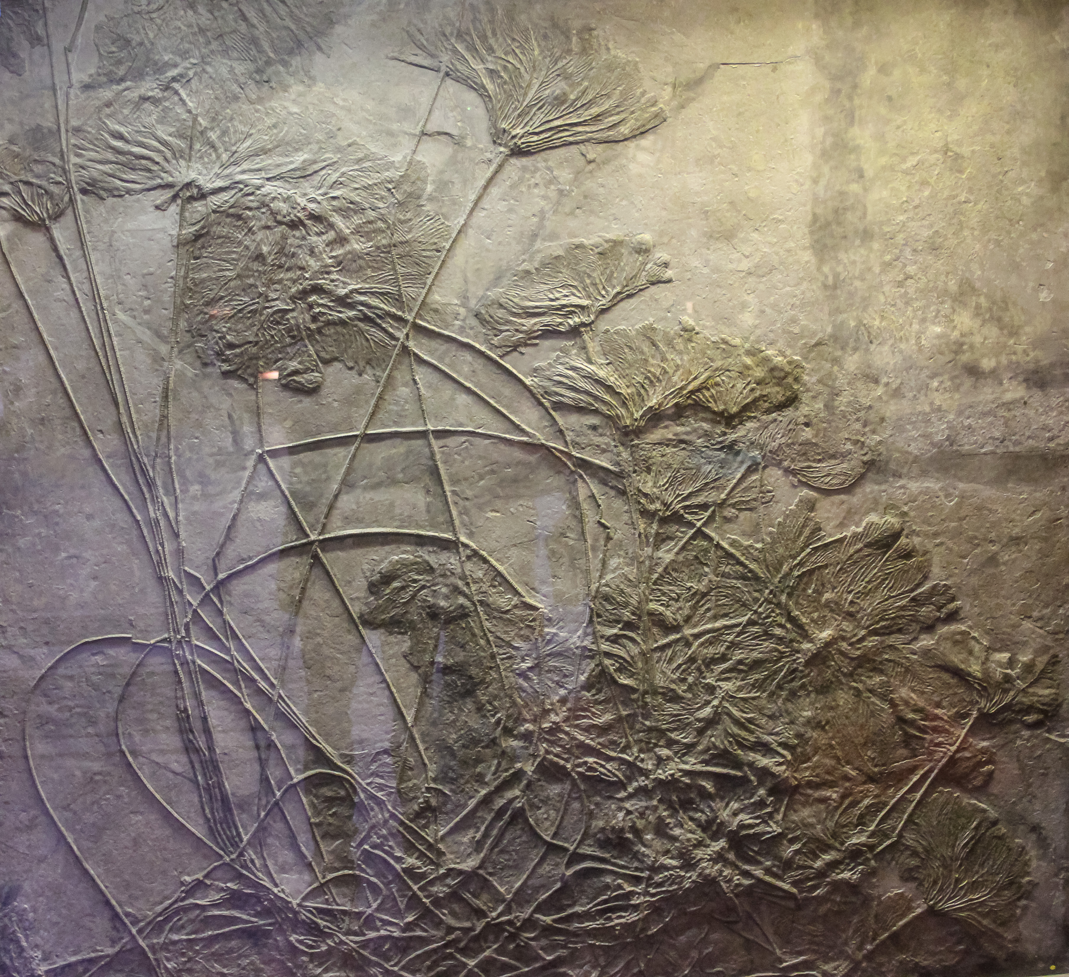 close-up-dry-plant-against-wall.jpg