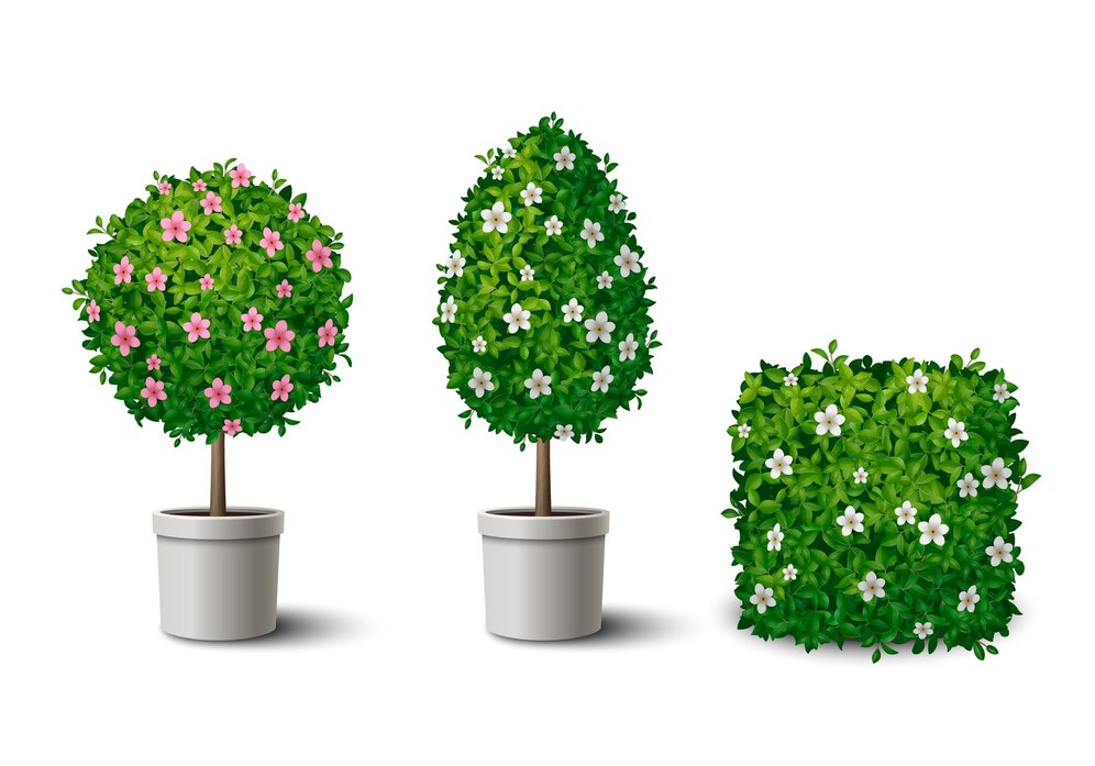 realistic-green-blooming-shrubs-small-potted-trees-different-shapes-isolated-vector-illustration_1284-83614.jpg