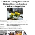 Téltemető farsang-farki családi kirándulás nyomolvasással  a Velencei-hegységben  - kirándulás