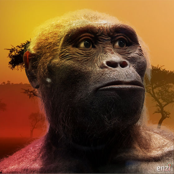 australopithecus.jpg