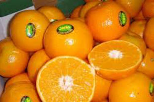 5. Jaffa narancs