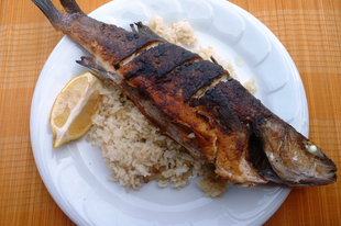 Sayyadiah - egyiptomi hal rizzsel