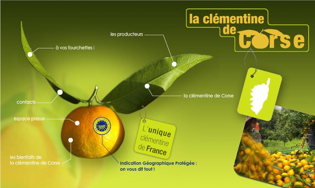 Clementine de Corse site Aprodec.jpg