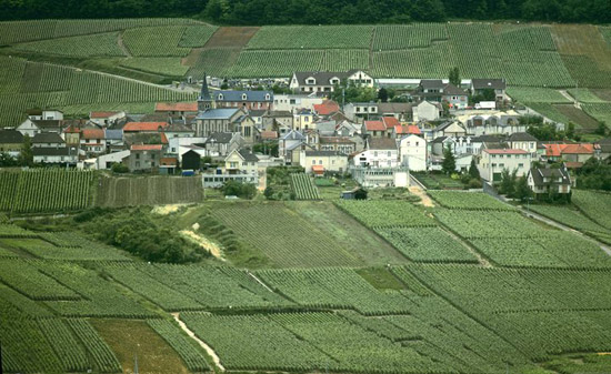 Champagne Landscape.jpg