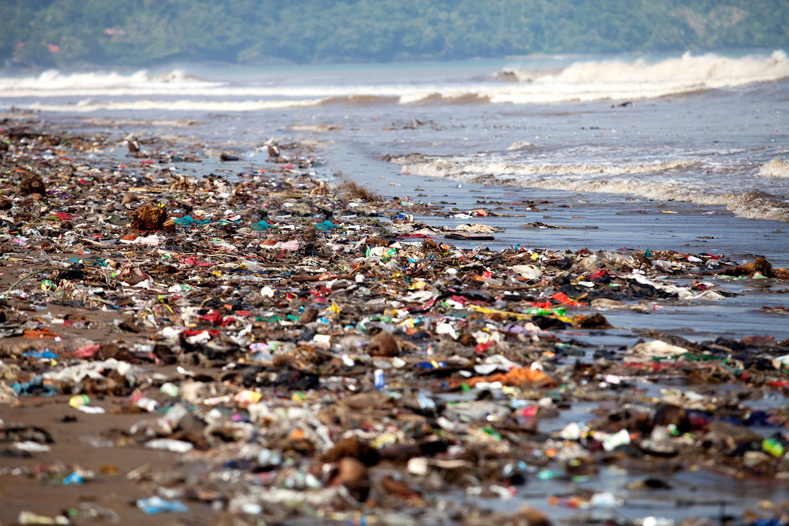 Műanyagiasodó emberiség, avagy a mikroműanyagok egészségügyi kockázatai