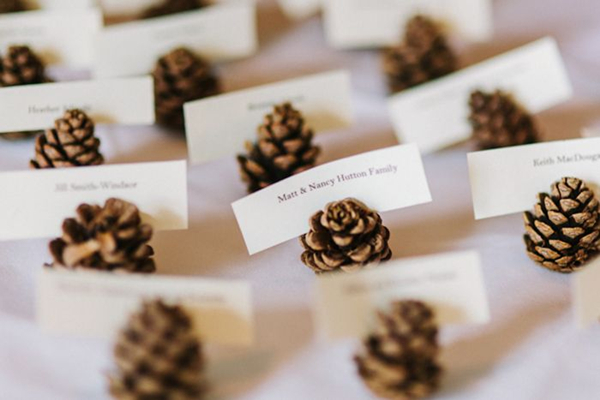 https://www.elegantweddinginvites.com/top-20-winter-wedding-ideas-with-pines-l/