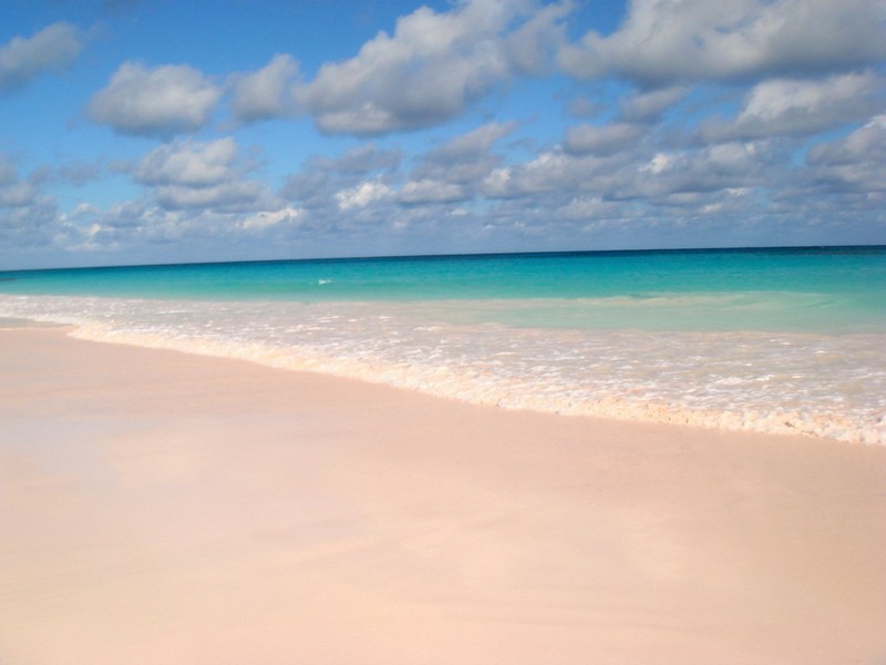 pink_sands_beach_bahamas_flickr_com_pazzani.jpg
