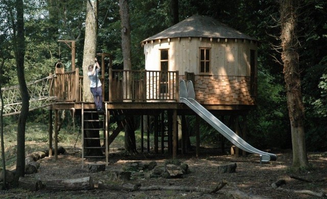 tree house 1.jpg