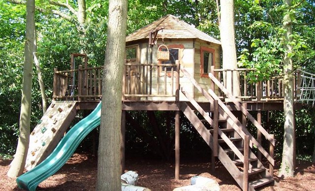 tree house 2.jpg