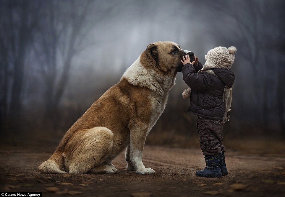 dogandchild.jpg