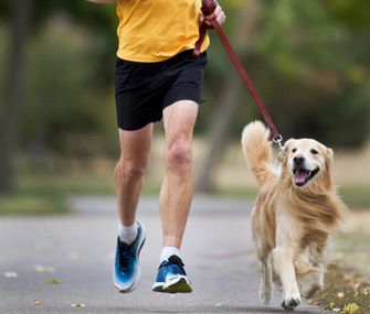dogjog.jpg