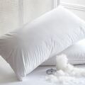 Sustainable and Luxurious: The Rise of Ethically Sourced Down Pillows