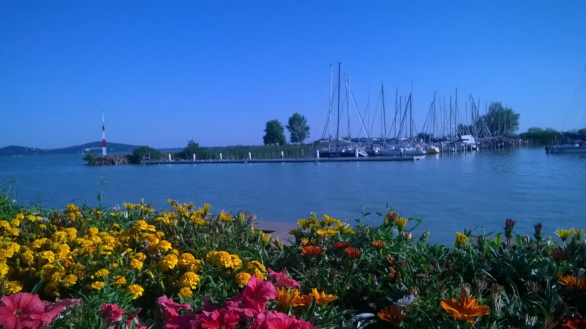 wp_20160730_17_44_58_pro.jpg