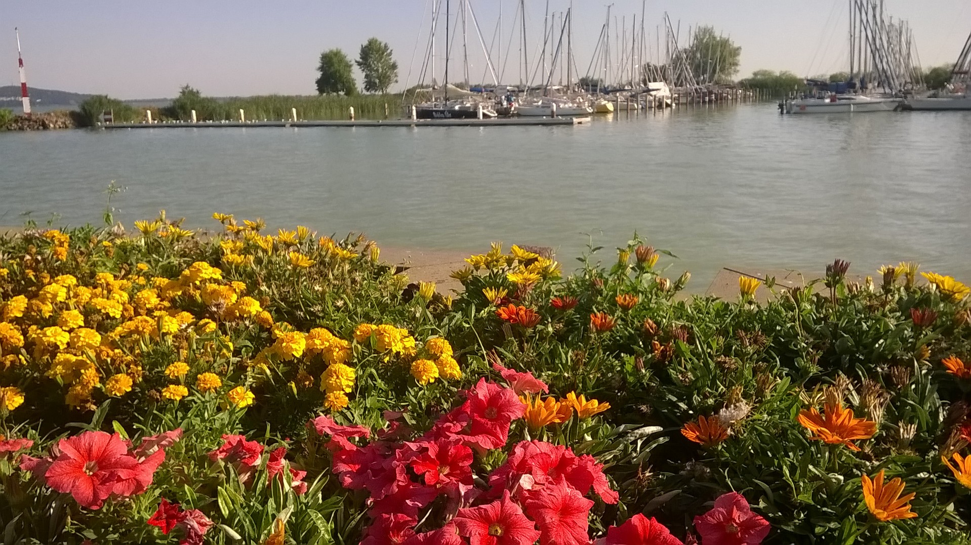 wp_20160730_17_45_09_pro.jpg
