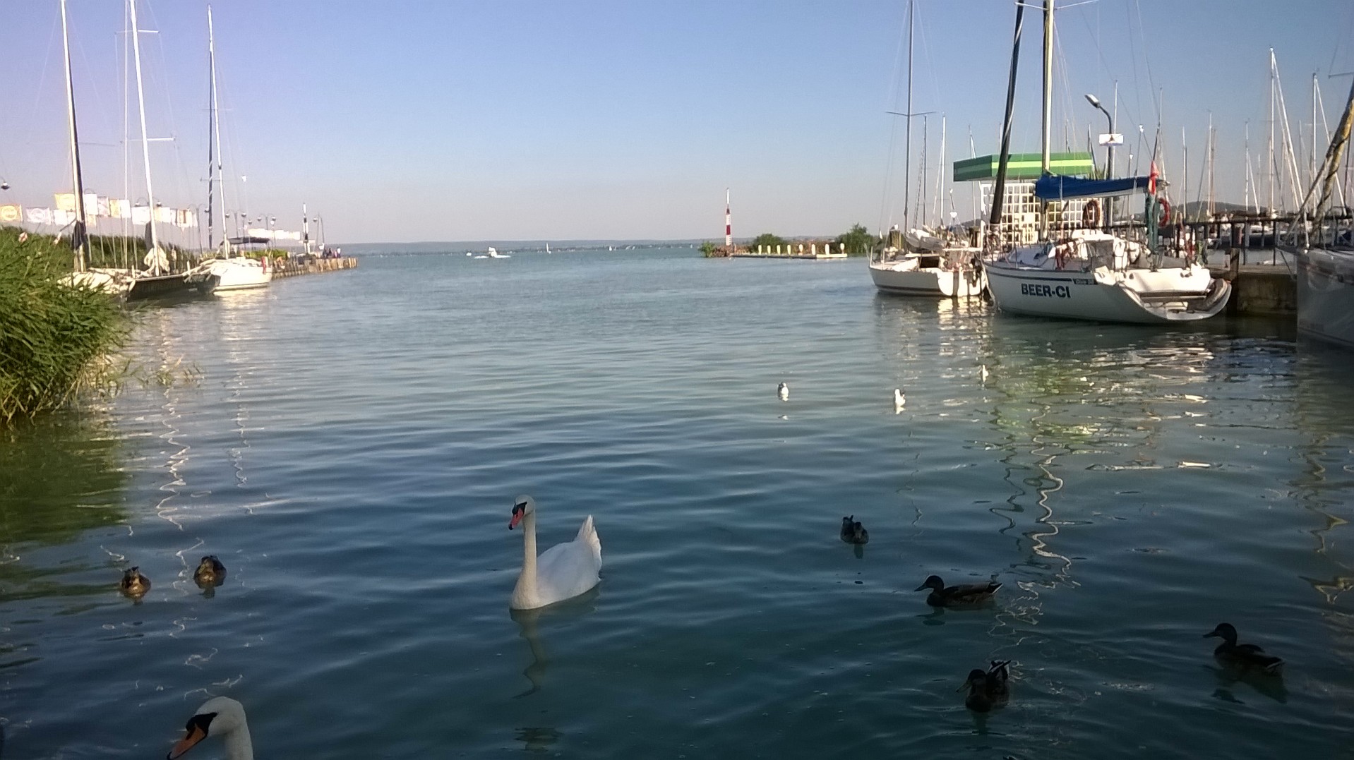 wp_20160730_17_49_30_pro.jpg