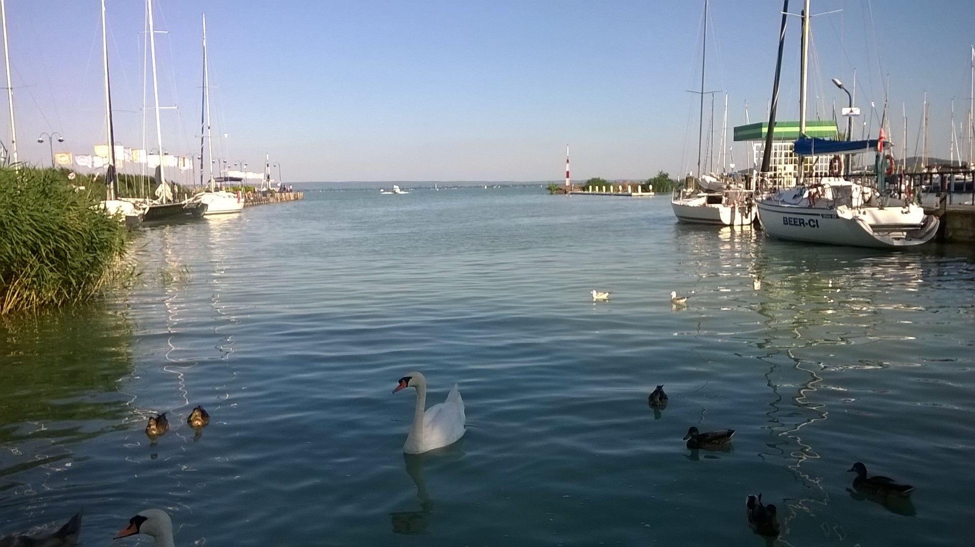 wp_20160730_17_49_36_pro.jpg