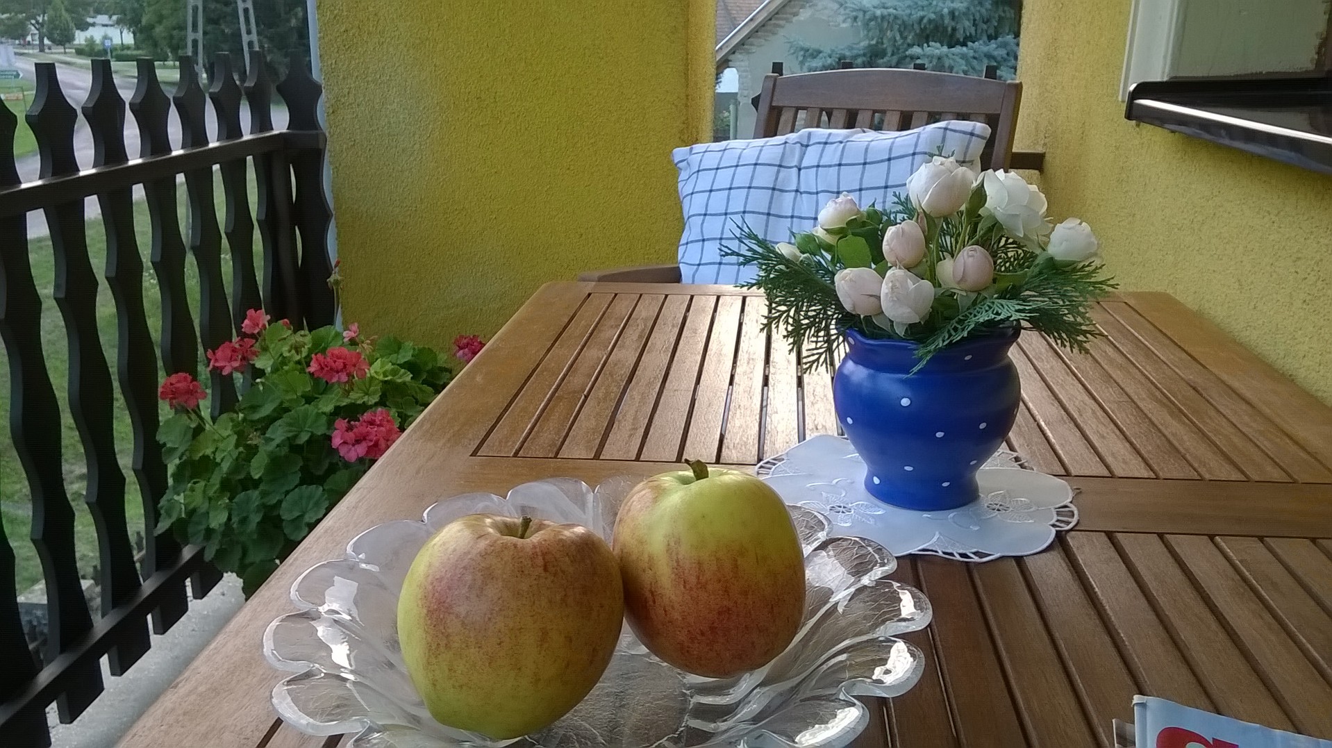 wp_20160731_19_12_07_pro.jpg