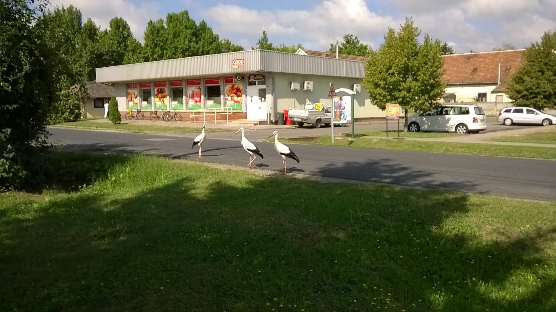 wp_20160806_09_52_05_pro.jpg