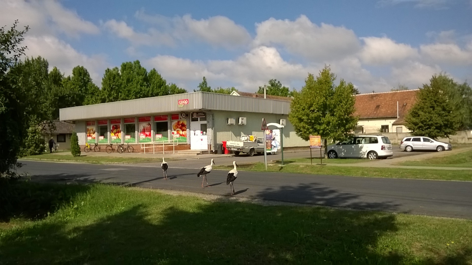wp_20160806_09_52_09_pro.jpg