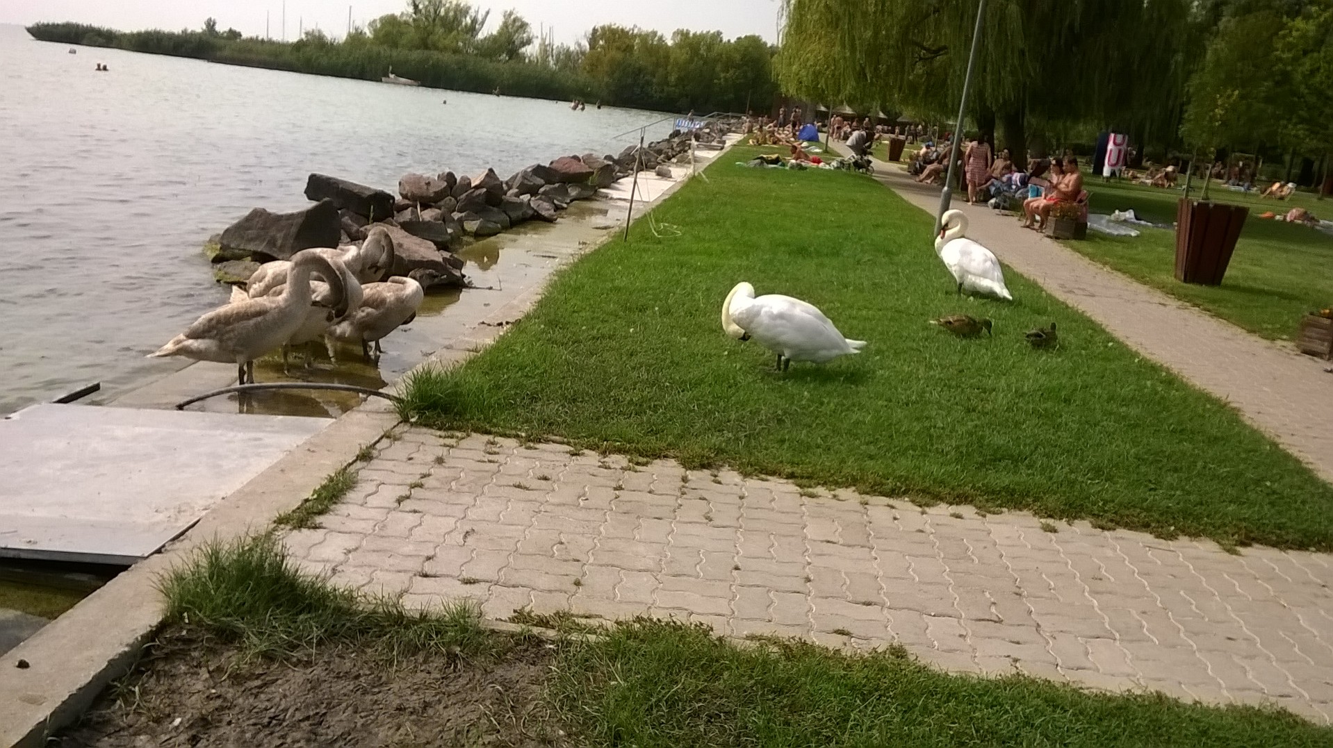 wp_20160911_12_37_04_pro.jpg