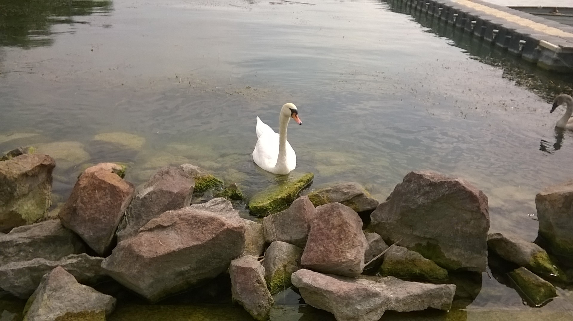 wp_20160911_13_26_00_pro.jpg