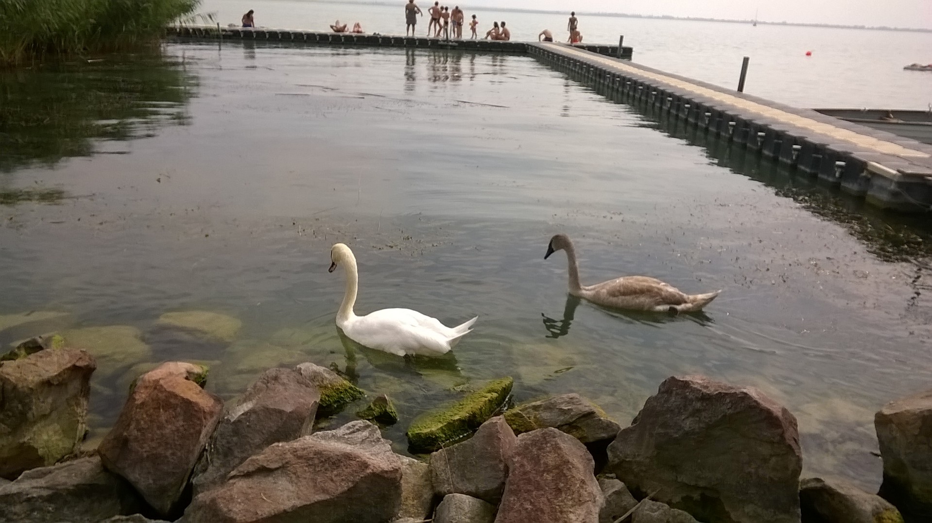 wp_20160911_13_26_06_pro.jpg