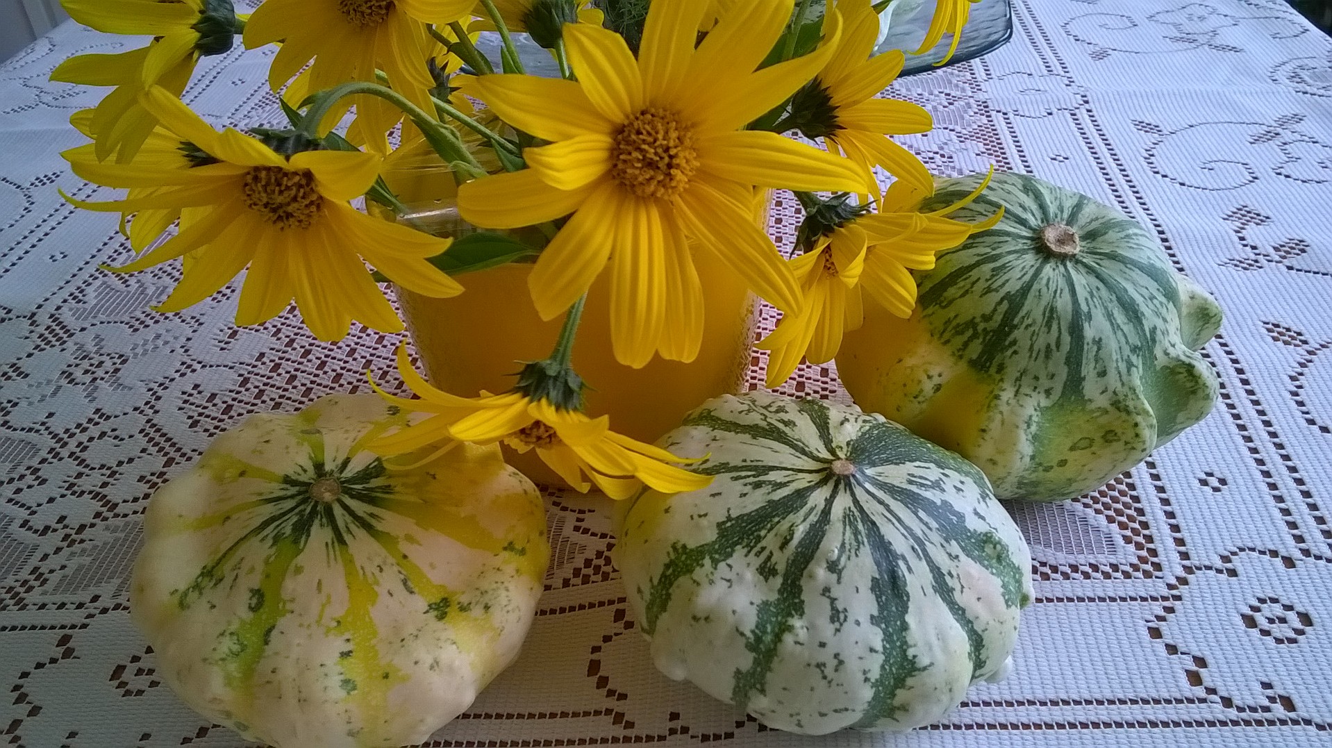 wp_20161010_11_21_07_pro.jpg