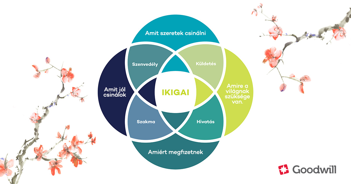 ikigai_tt_cikk.jpg