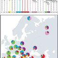 A paleolitikumi homo sapiens sapiens genetikai öröksége a ma élő európaiakban az apai öröklődésű Y kromoszóma vizsgálatok alapján (összefoglalás)