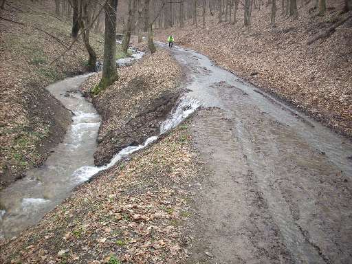 vorosko3.JPG